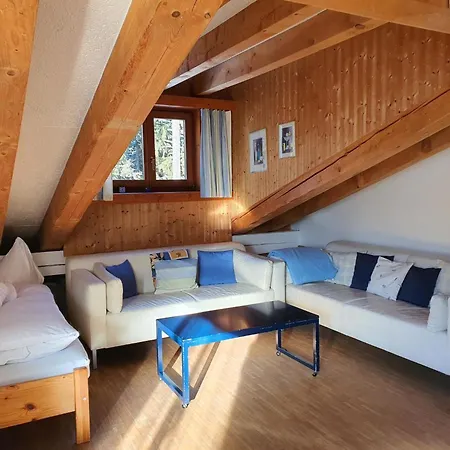 公寓 Casa Fadail Seura 21 By Interhome *